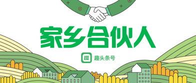 趣頭(tou)條(tiao)號(hao)推(tui)出(chu)快車(che)道計(ji)劃(hua)，攜手(shou)廣場(chang)舞大(da)賽賦(fu)能(neng)數(shu)字(zi)文化(hua)創(chuang)意內(nei)容(rong)